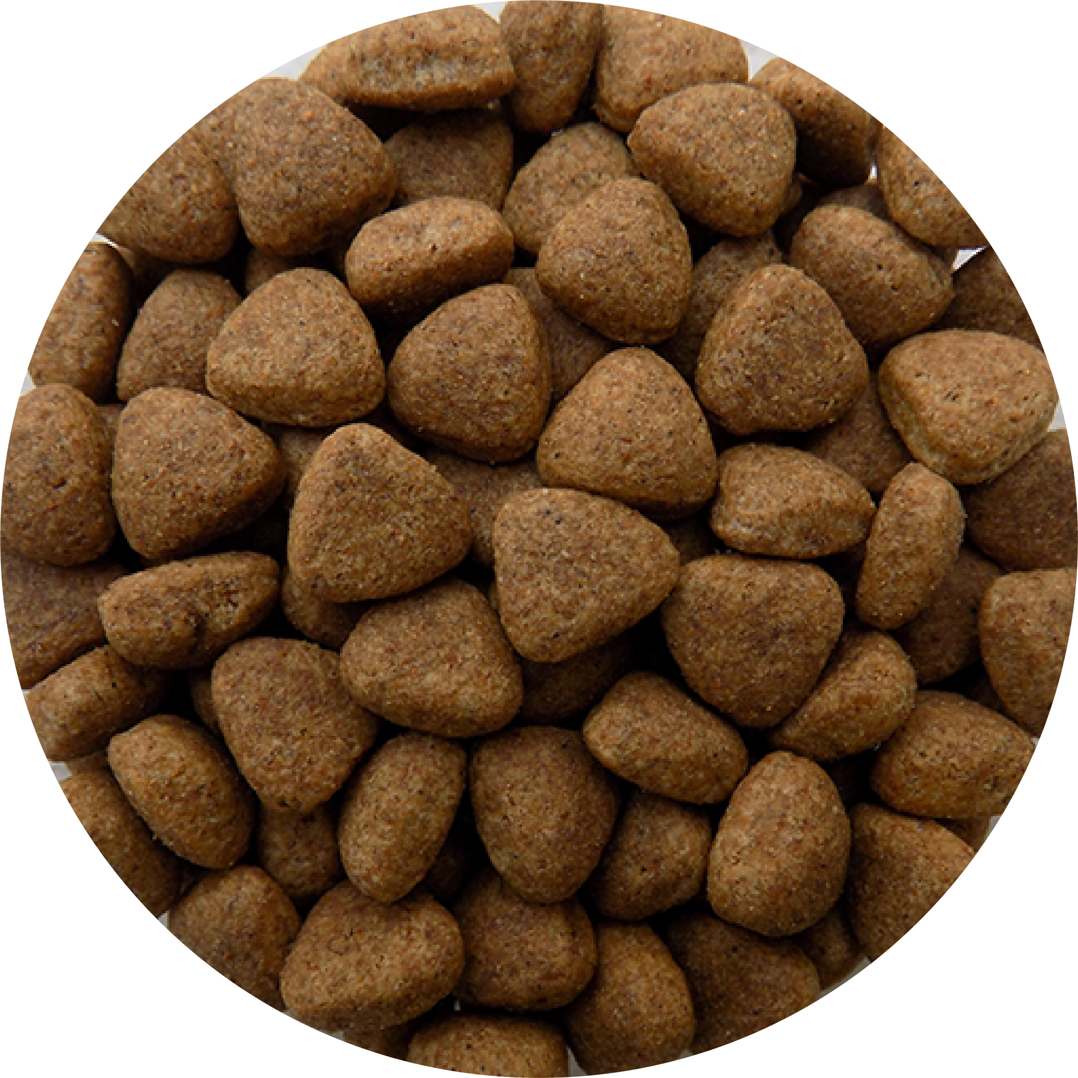 activo-croqueta