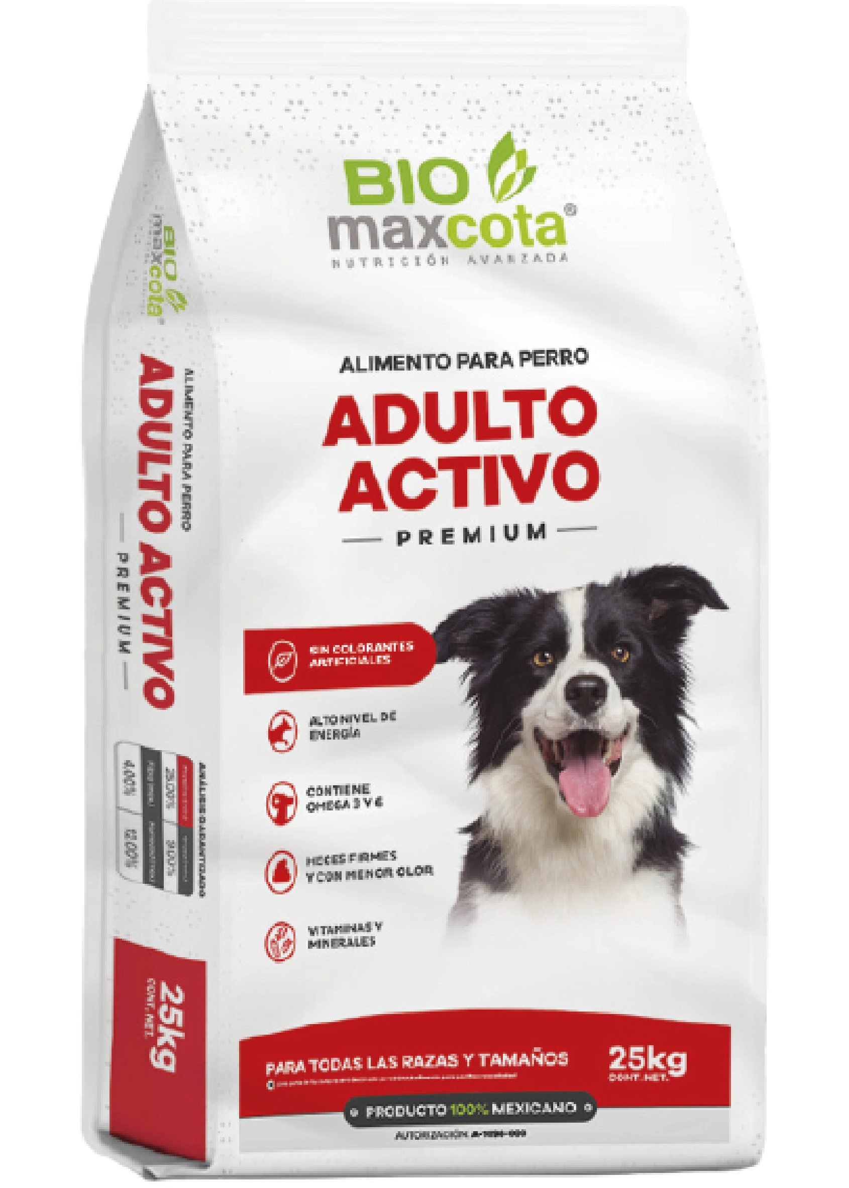 activo
