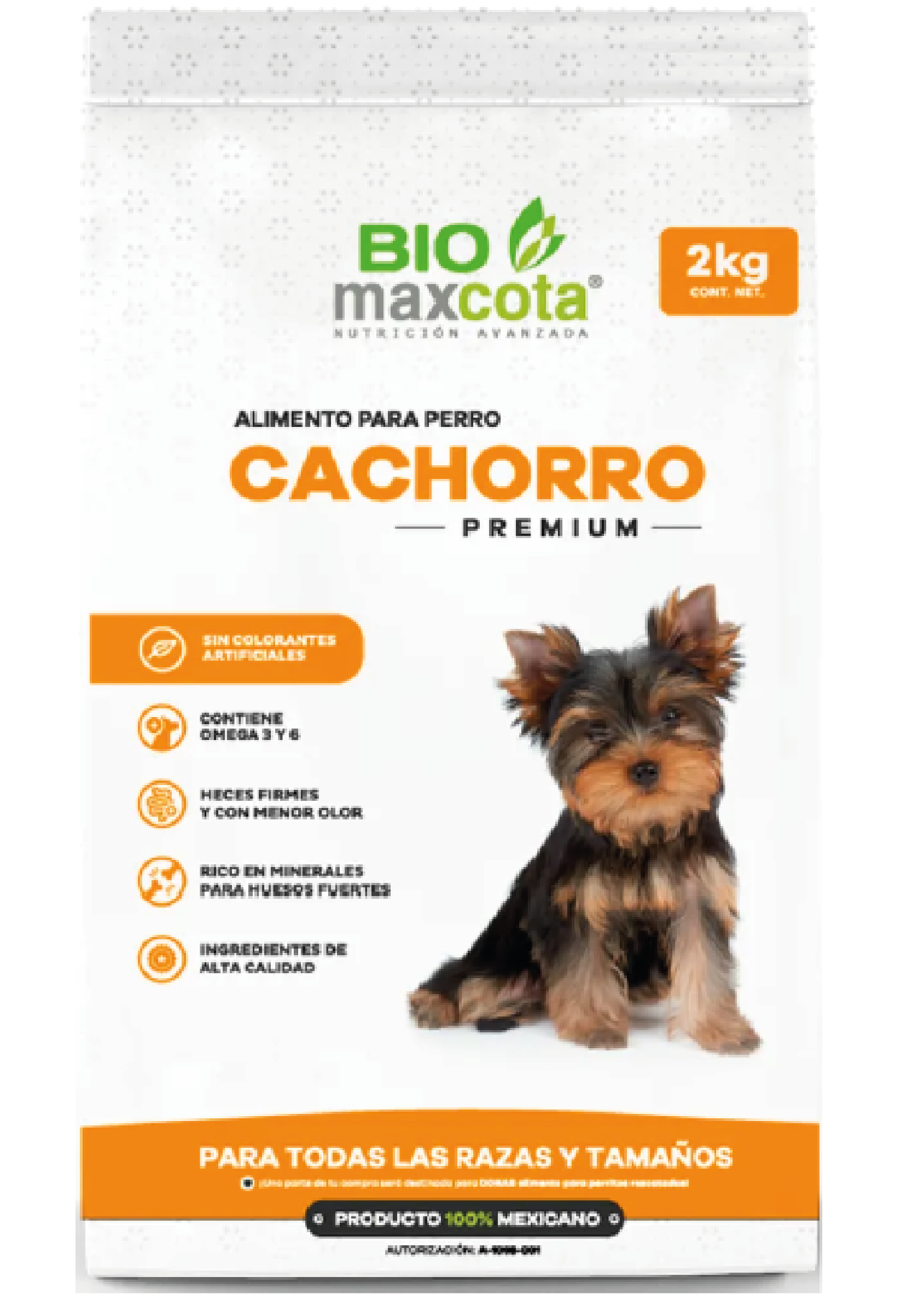 cachorro