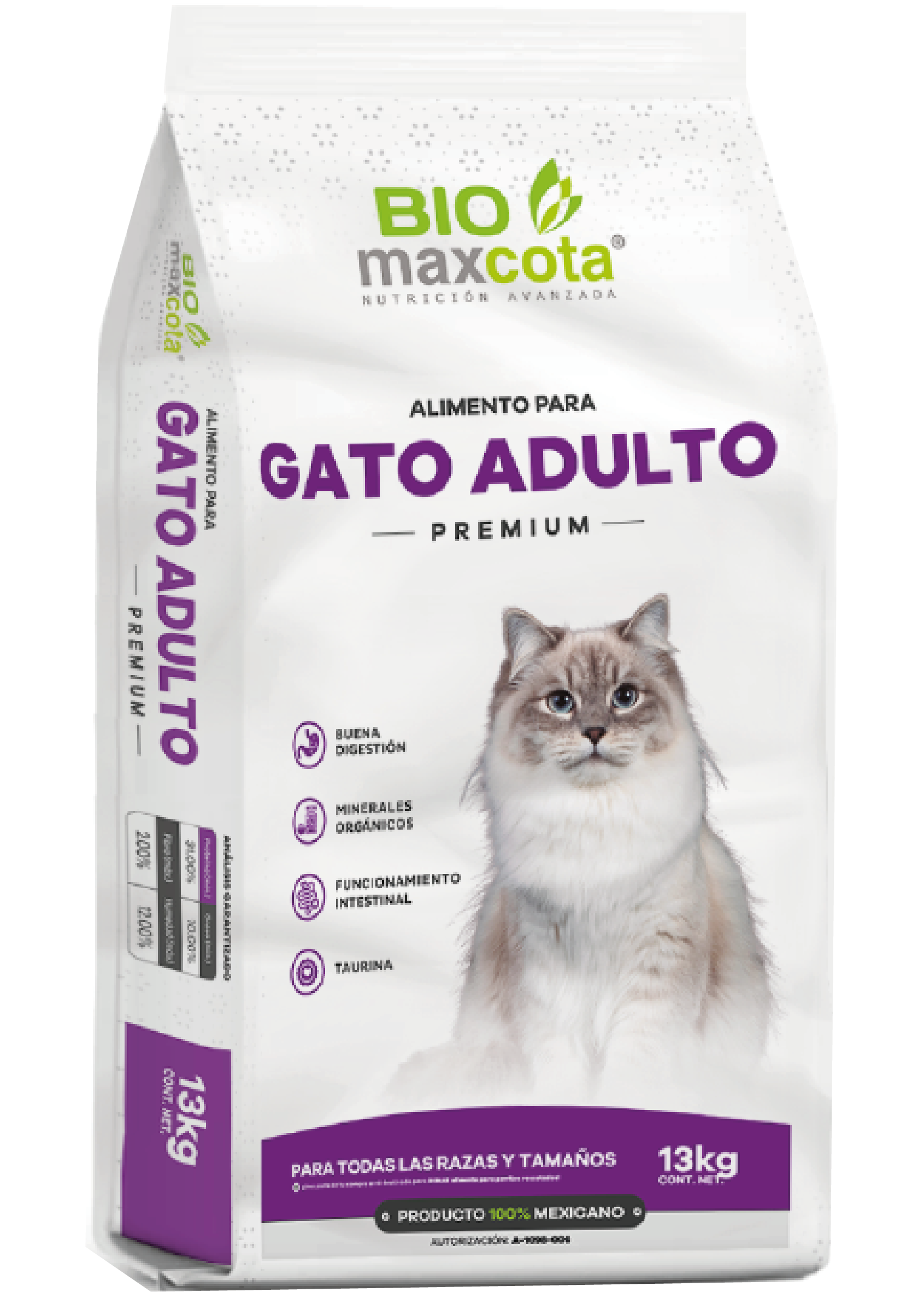 gato