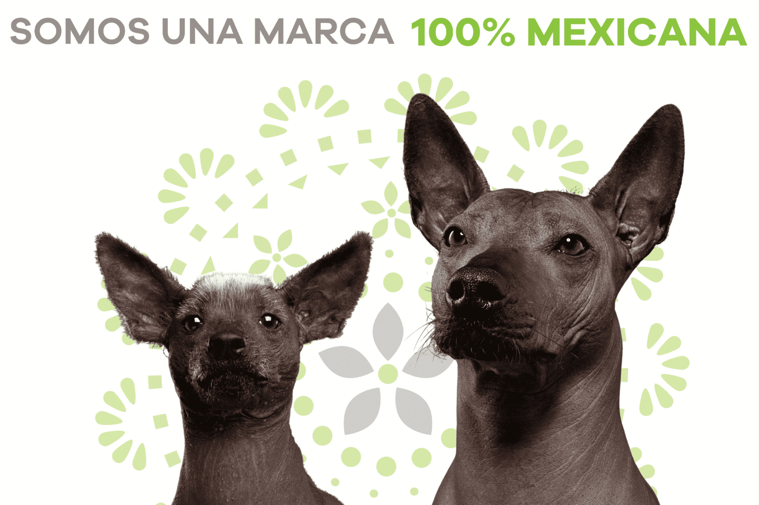 marca-mexicana